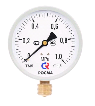 Манометр 100*G1/2 (0,6 MПa) ТМ-510Р 10  ниж подк РОСМА (1/50)